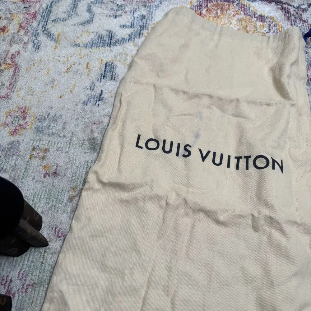 Louis Vuitton Silhouette Ankle Boots
